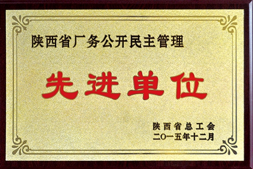 陜西省廠務(wù)公開民主管理先進單位